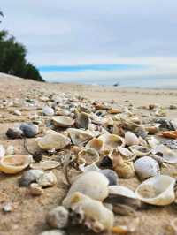 หาดชำอำ หาดสวยแห่งหนึ่งในเพชรบุรี คุณคิดเห็นยังไง