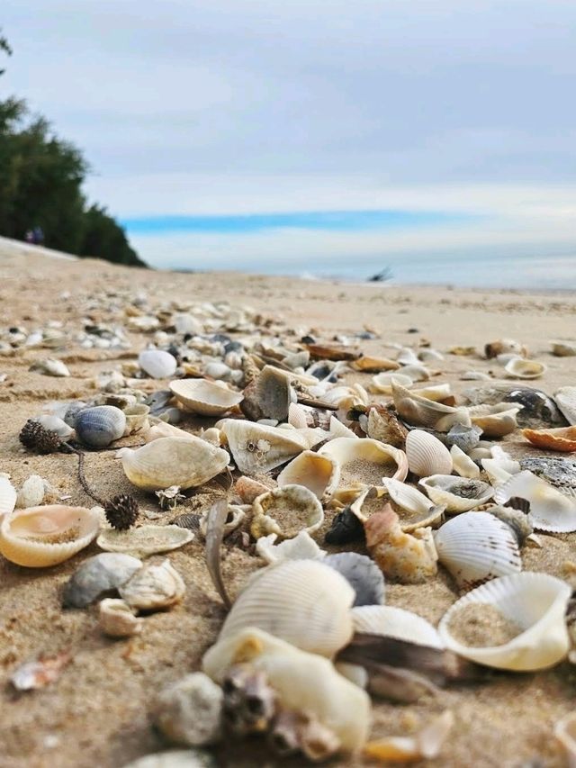 หาดชำอำ หาดสวยแห่งหนึ่งในเพชรบุรี คุณคิดเห็นยังไง