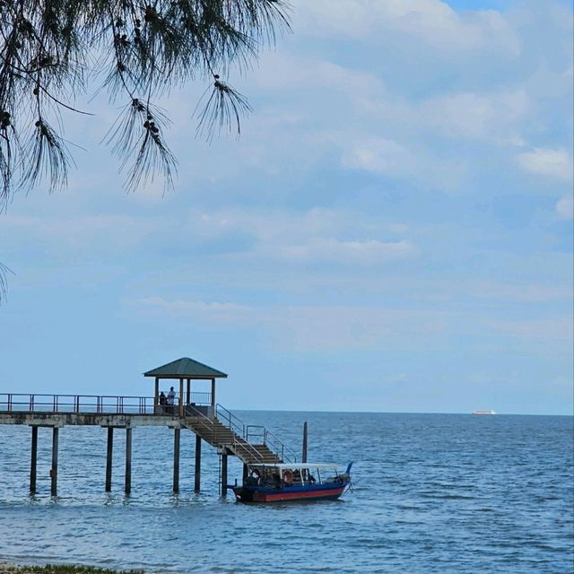 Discover Pantai Kerachut: A Hidden Gem in Penang National Park