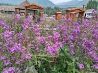Hemu: A Postcard-Perfect Paradise Beyond Just Good Food
