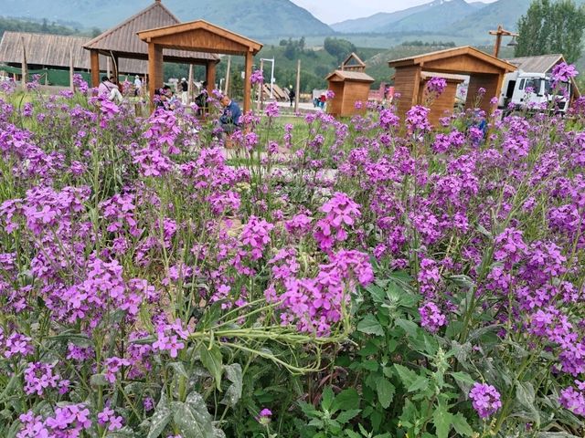 Hemu: A Postcard-Perfect Paradise Beyond Just Good Food