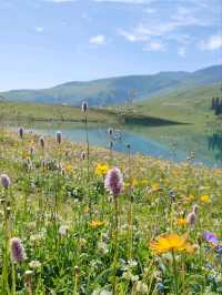 Emerald Fairy Lake: A Jewel Nestled in the Wilderness