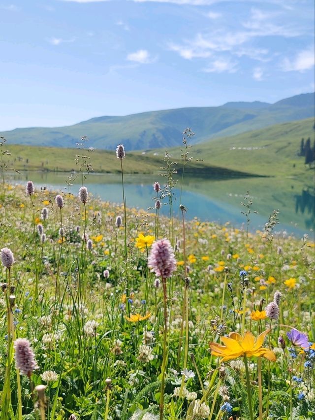 Emerald Fairy Lake: A Jewel Nestled in the Wilderness