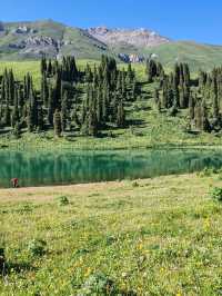 Emerald Fairy Lake: A Jewel Nestled in the Wilderness