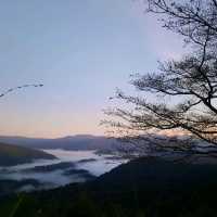 🏕ไป Camping ที่อุทยานแห่งชาติภูสวนทรายกันค่ะ