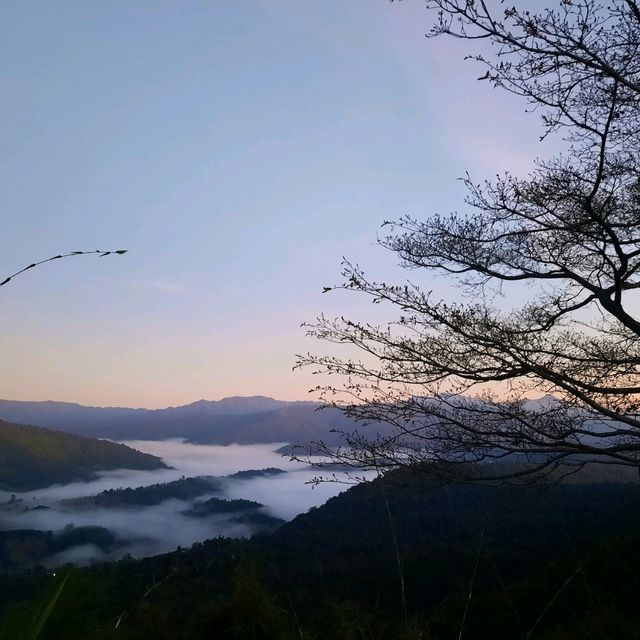 🏕ไป Camping ที่อุทยานแห่งชาติภูสวนทรายกันค่ะ