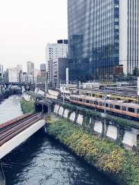 【 学問成就祈願巡りの東京　神田明神　湯島聖堂 】