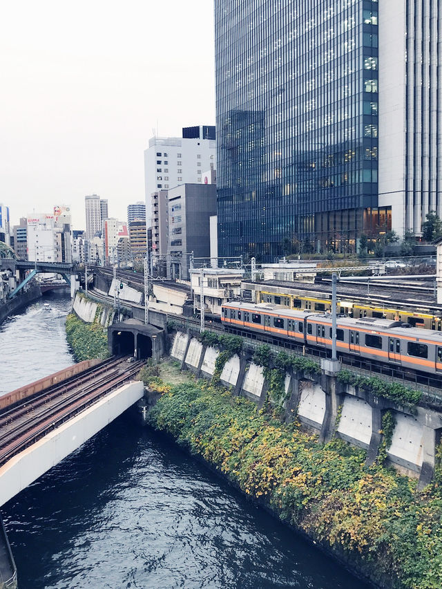 【 学問成就祈願巡りの東京　神田明神　湯島聖堂 】
