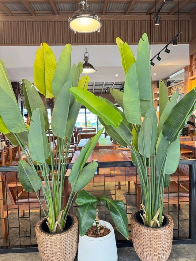 ร้านเนื้อมิตรไมตรี หาดใหญ่วิลเลจ
