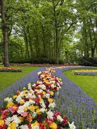 🌷 Keukenhof… เหมือนหลุดเข้าไปอยู่ในเทพนิยายดอกไม้