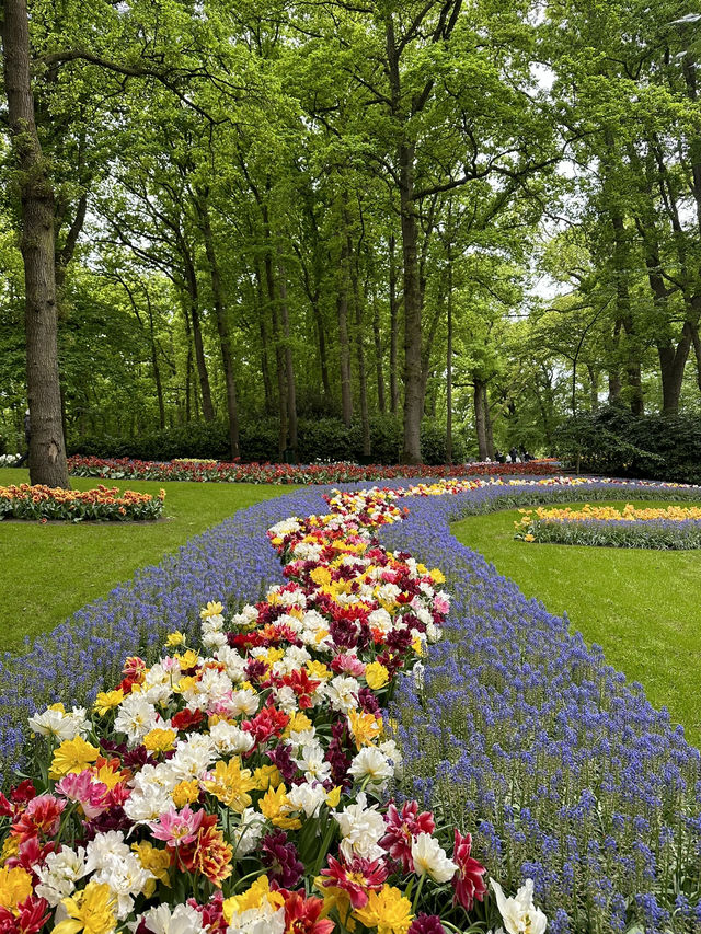 🌷 Keukenhof… เหมือนหลุดเข้าไปอยู่ในเทพนิยายดอกไม้