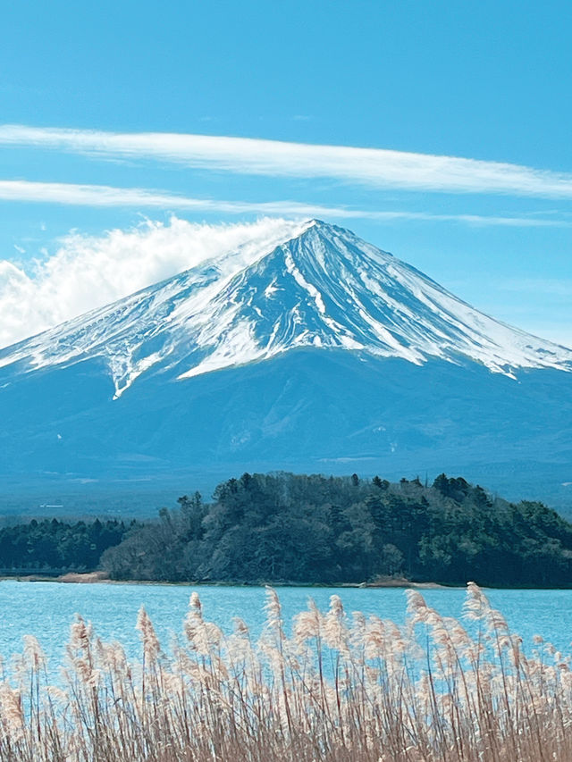 富士山河口湖