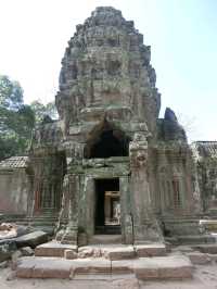 【カンボジア🇰🇭】木の根に包まれたタ・プローム遺跡