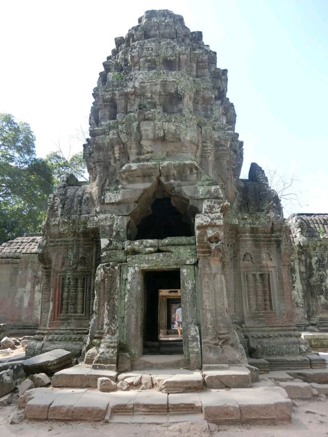 【カンボジア🇰🇭】木の根に包まれたタ・プローム遺跡