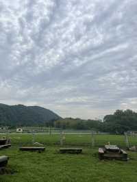 【神奈川県】入場無料の広々牧場🐮