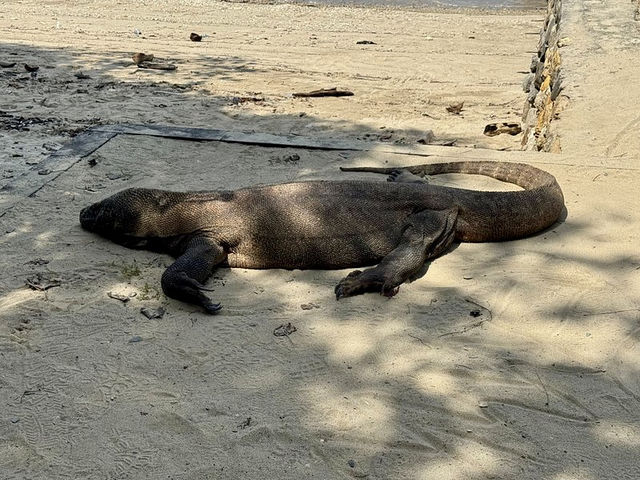 Komodo National Park