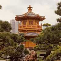 🌿✨ Escape to Tranquility: Discover Nan Lian Garden – Hong Kong’s Hidden Oasis! ✨🌿