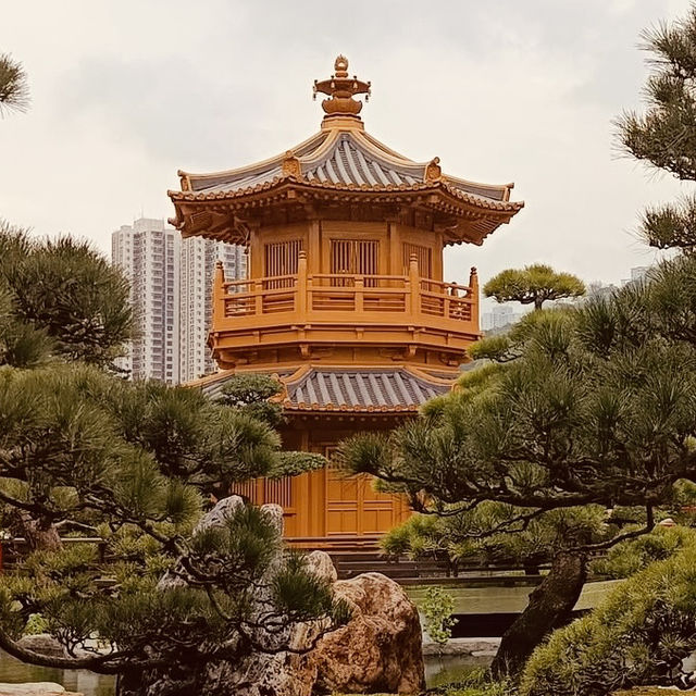 🌿✨ Escape to Tranquility: Discover Nan Lian Garden – Hong Kong’s Hidden Oasis! ✨🌿