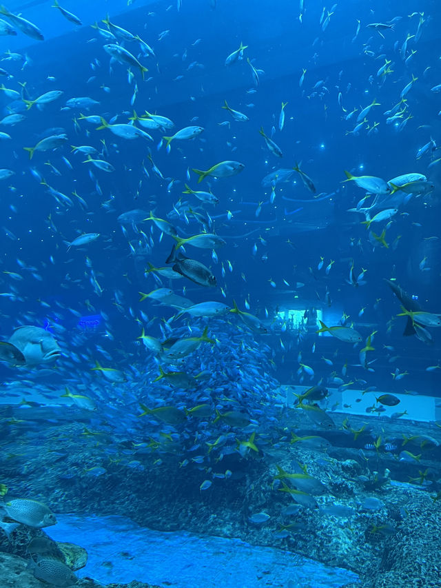 富國島-珍珠樂園+動物園