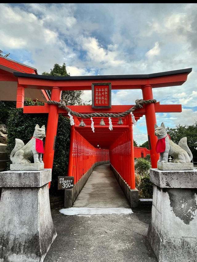 ⛩️福徳稲荷神社｜海に向かって続く千本鳥居が圧巻の絶景神社