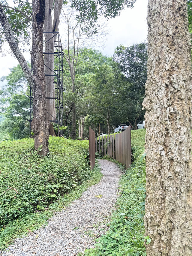 เที่ยวเชียงใหม่ฟิลธรรมชาติ Rachel coffee&community