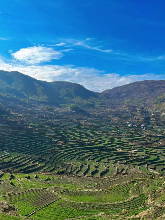 Fuzhi Mountain｜A Hidden Mini-Wugong with Killer Steps