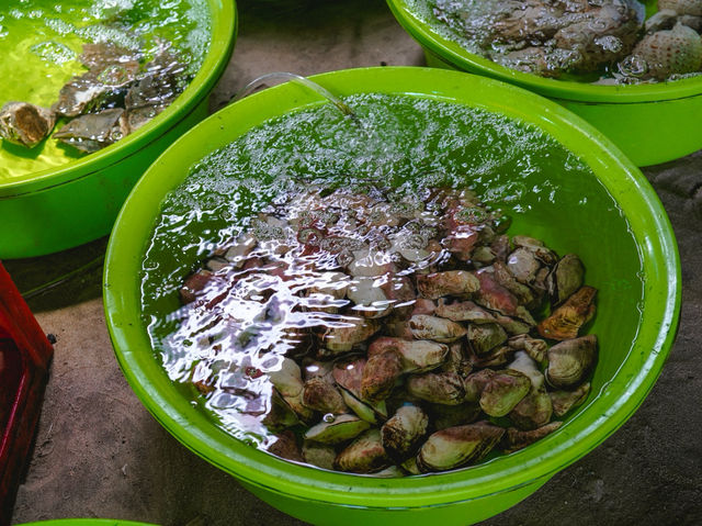 หมู่บ้านชาวประมง มุยเน่ (Mui Ne Fishing Village)