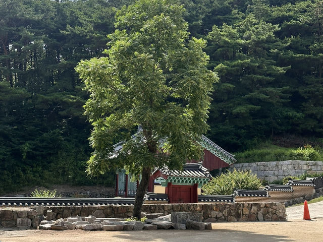 大邱🇰🇷｜大邱秘境古剎！符仁寺千年歷史與神秘四頭烏龜你看過嗎？🐢✨