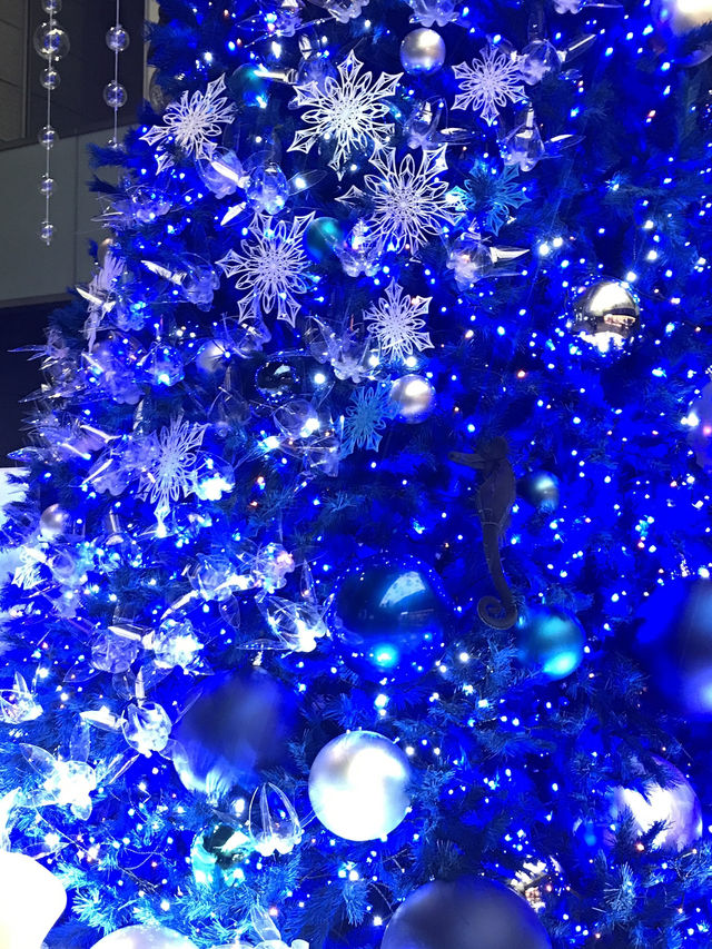 🌲2020年 東京丸の内クリスマスツリー と2025年に乞うご期待❣️