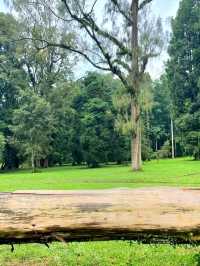 Bali Botanic Garden: Nature’s Retreat in Bedugul