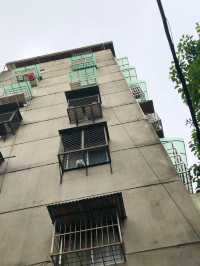 台北で1番古い問屋街に行ってみよう!