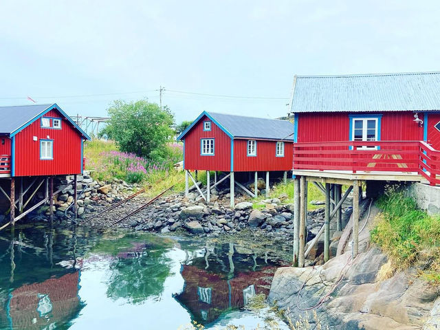 Discovering the Charm of Å in the Lofoten Islands 