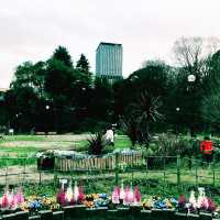 🌸 春の東京散歩 — 東京プリンス芝公園・増上寺・東京タワー