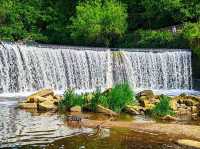 Reddish Vale Country Park – Nature on the Edge of the City