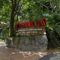คาเฟ่ ภูเก็ต