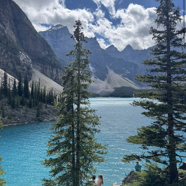 Moraine Lake 🏞️🌲