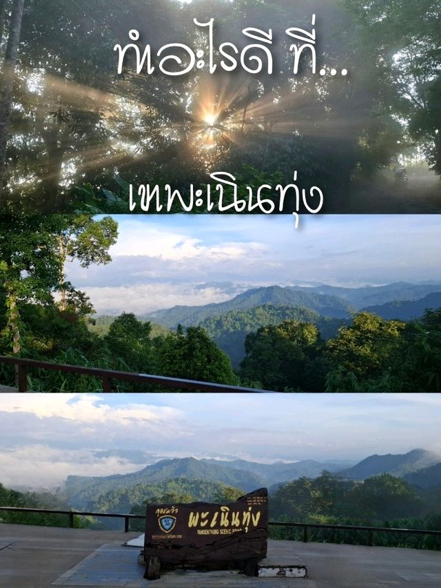 เขาพะเนินทุ่ง ไปทำอะไรดี เขาพะเนินทุ่ง ไปทำอะไรดี