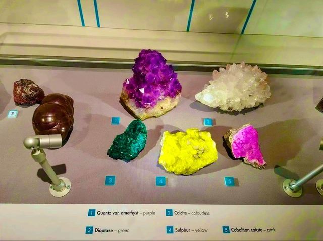 Lapworth Museum of Geology – A Journey Through Earth’s History