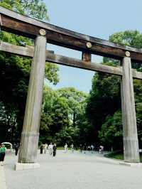 Summer at Tokyo