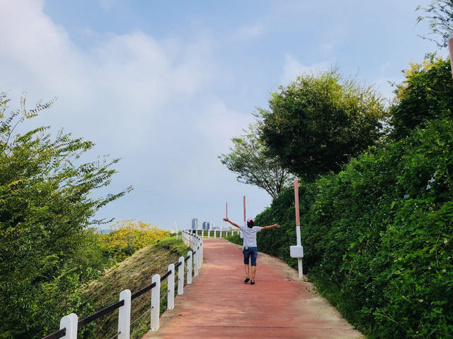 台中~「中央公園」好大大….也好好拍…. 台中~「中央公園」好大大….也好好拍….