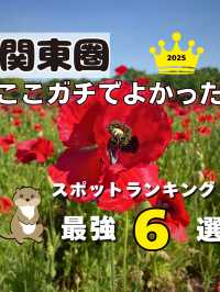 【関東圏】ここガチでよかった😳上半期スポットランキング2025最強6選💪🌿🌸