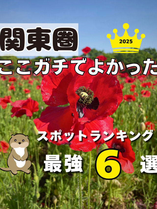 【関東圏】ここガチでよかった😳上半期スポットランキング2025最強6選💪🌿🌸