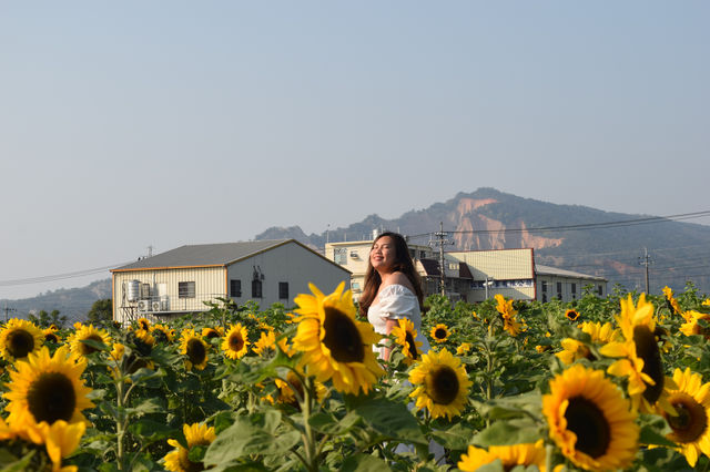 Zhongshe Flower Market in Taichung, Taiwan