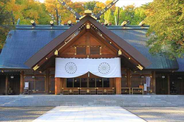 Hokkaido Shrine & Maruyama Park – The Spiritual Heart of Sapporo 🍁⛩️🌸