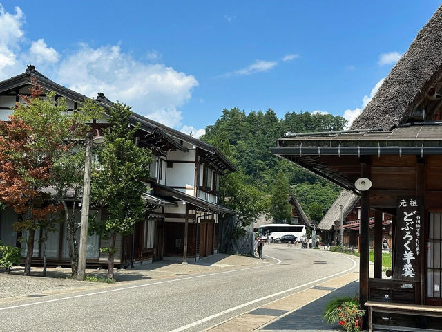 Shirakawa-Go ซัมเมอร์ เขียวๆฟ้าๆ 🇯🇵🌿✨