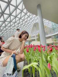 Miracle of Natural สวนดอกไม้เมืองหนาว🌷