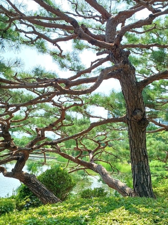 도심 속 산책 힐링 스팟 도심 속 산책 힐링 스팟
