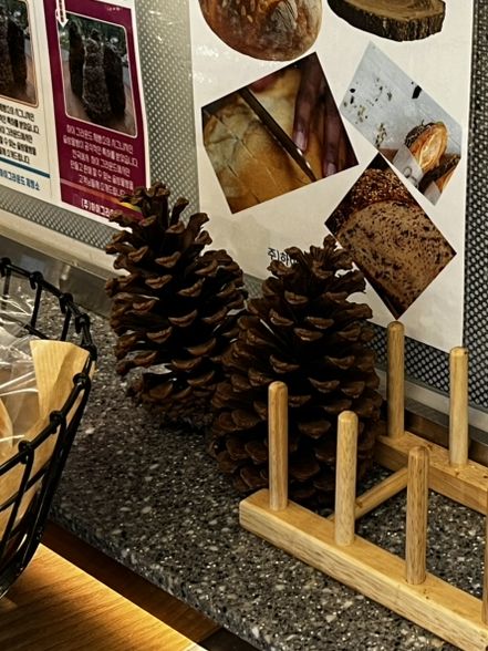 ソウルハイグラウンド、キャンプ🏕️みたいなエモいカフェ