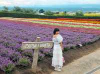 Farm Tomita Hokkaido