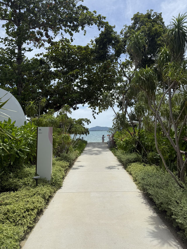 🤍🩵🩶 Veranda Resort Phuket, Autograph Collection 🤍🩵🩶 Veranda Resort Phuket, Autograph Collection